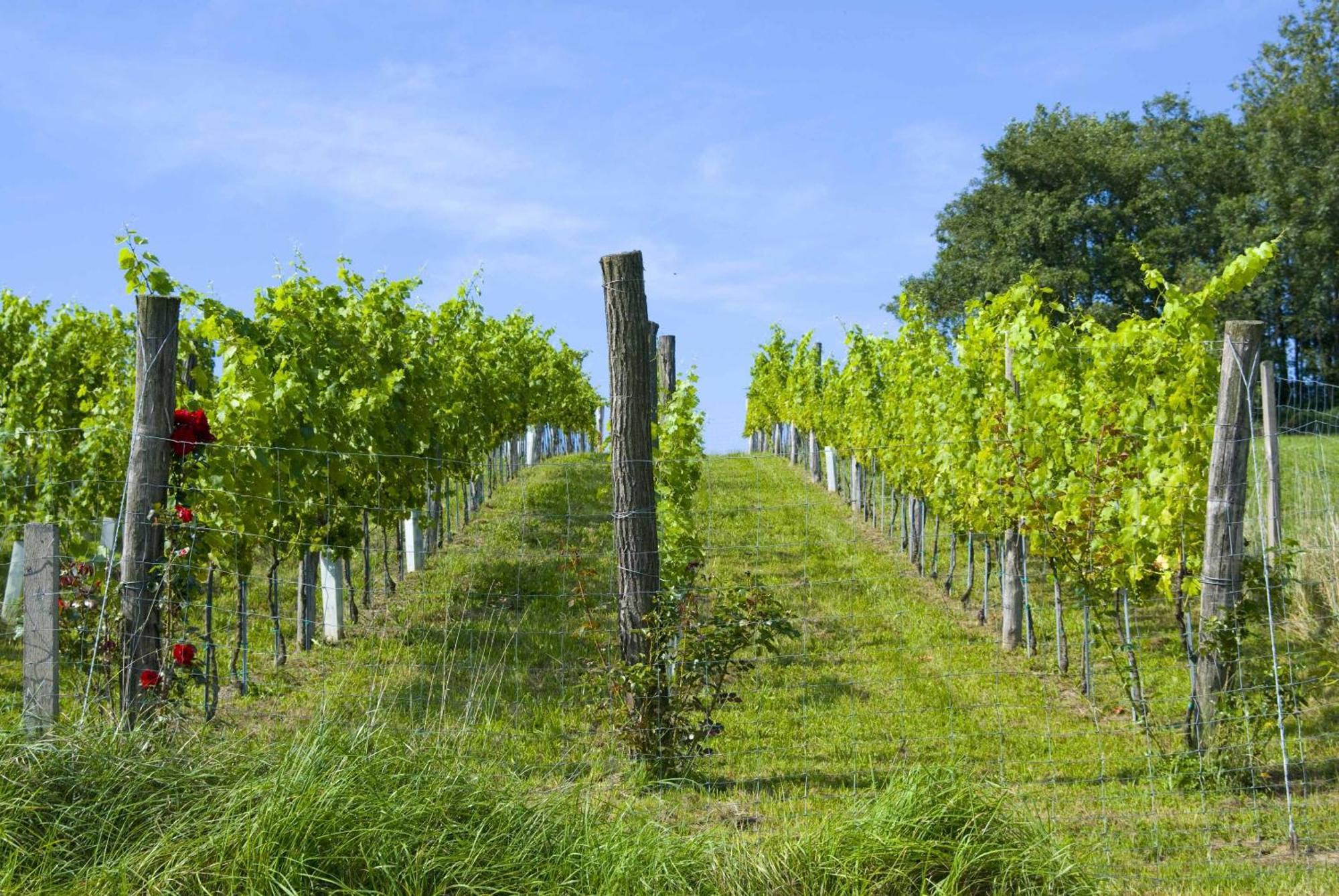 Osternacherhof Bagian luar foto